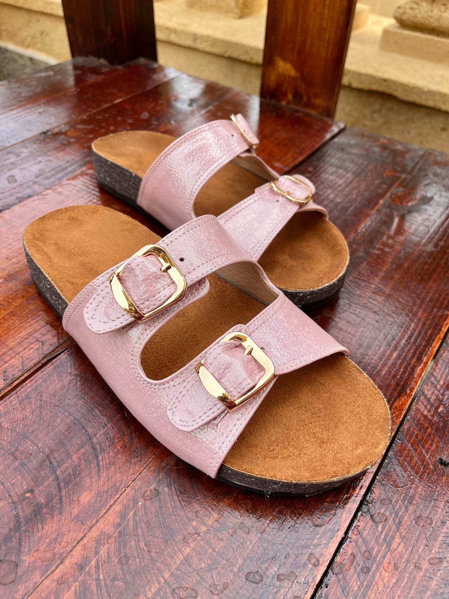 Shiny Slides