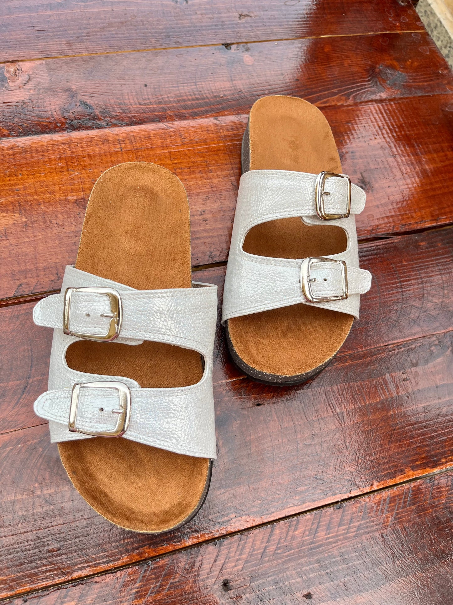 Shiny Slides