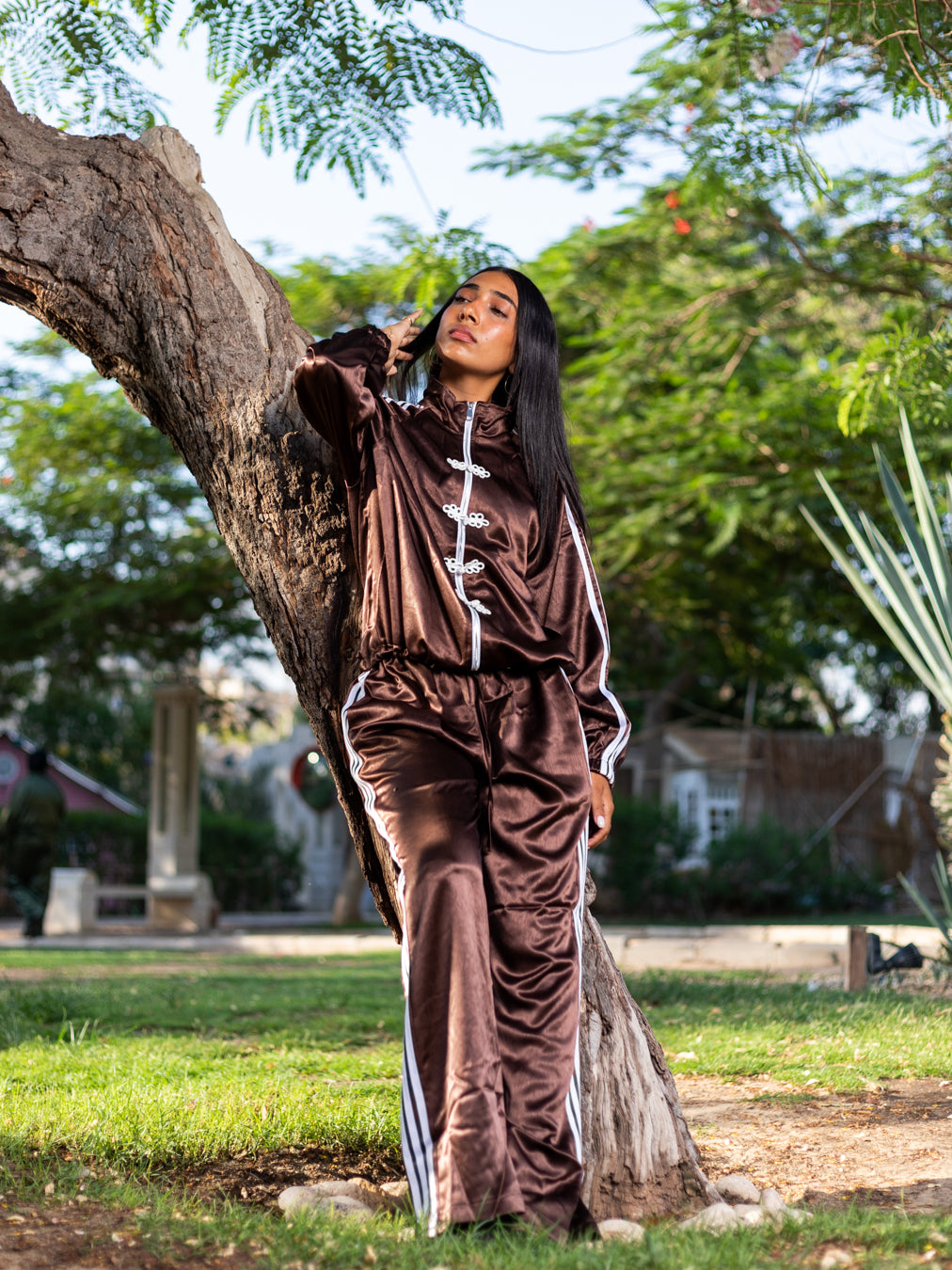 Brown Jade Set